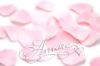Picture of Silk Rose Petals Double Pink