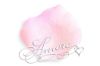 Picture of Silk Rose Petals Double Pink