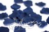Picture of Silk Rose Petals Navy Blue